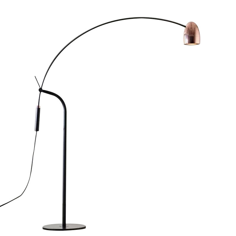 EPFL8042 Modern Arched Iron Floor Lamp with LED